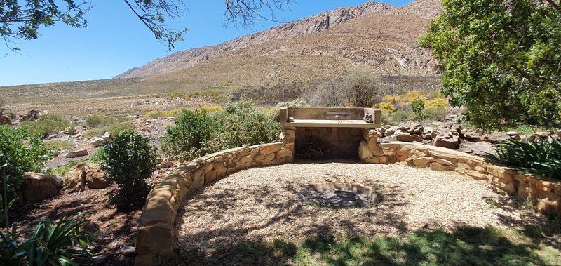Stone Cottage Laingsburg Western Cape South Africa Cactus, Plant, Nature, Framing