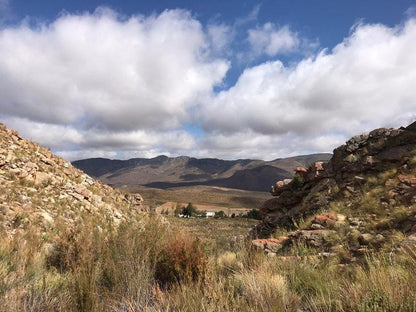 Stone Cottage Laingsburg Western Cape South Africa Complementary Colors, Cactus, Plant, Nature