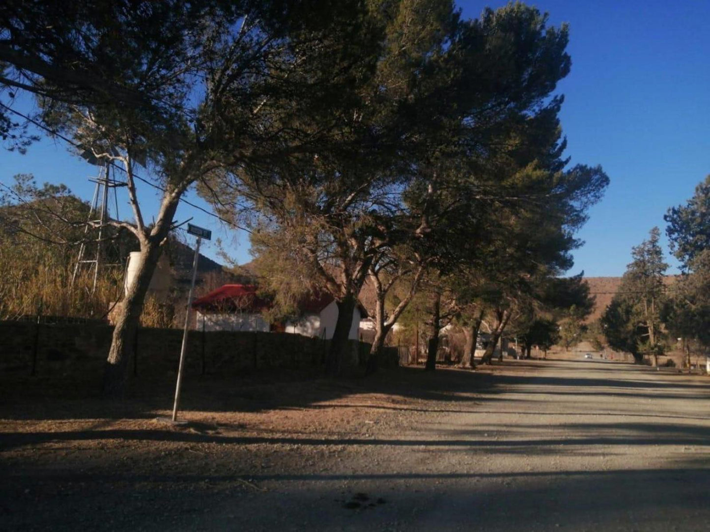 Stone Haven At Nieu Bethesda Nieu Bethesda Eastern Cape South Africa Palm Tree, Plant, Nature, Wood, Street