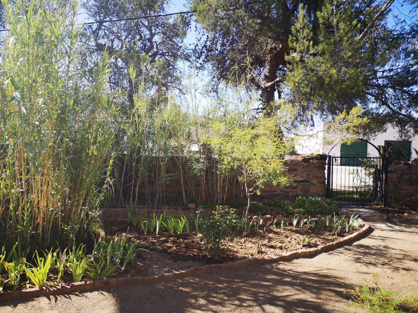 Stone Haven At Nieu Bethesda Nieu Bethesda Eastern Cape South Africa Plant, Nature, Garden