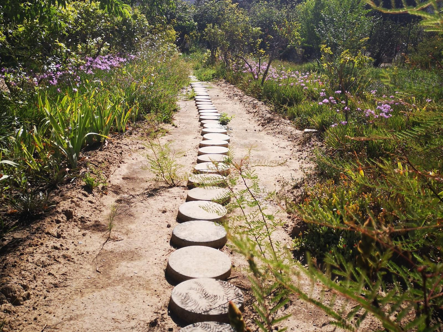 Stone Haven At Nieu Bethesda Nieu Bethesda Eastern Cape South Africa Plant, Nature, Railroad, Garden, Leading Lines