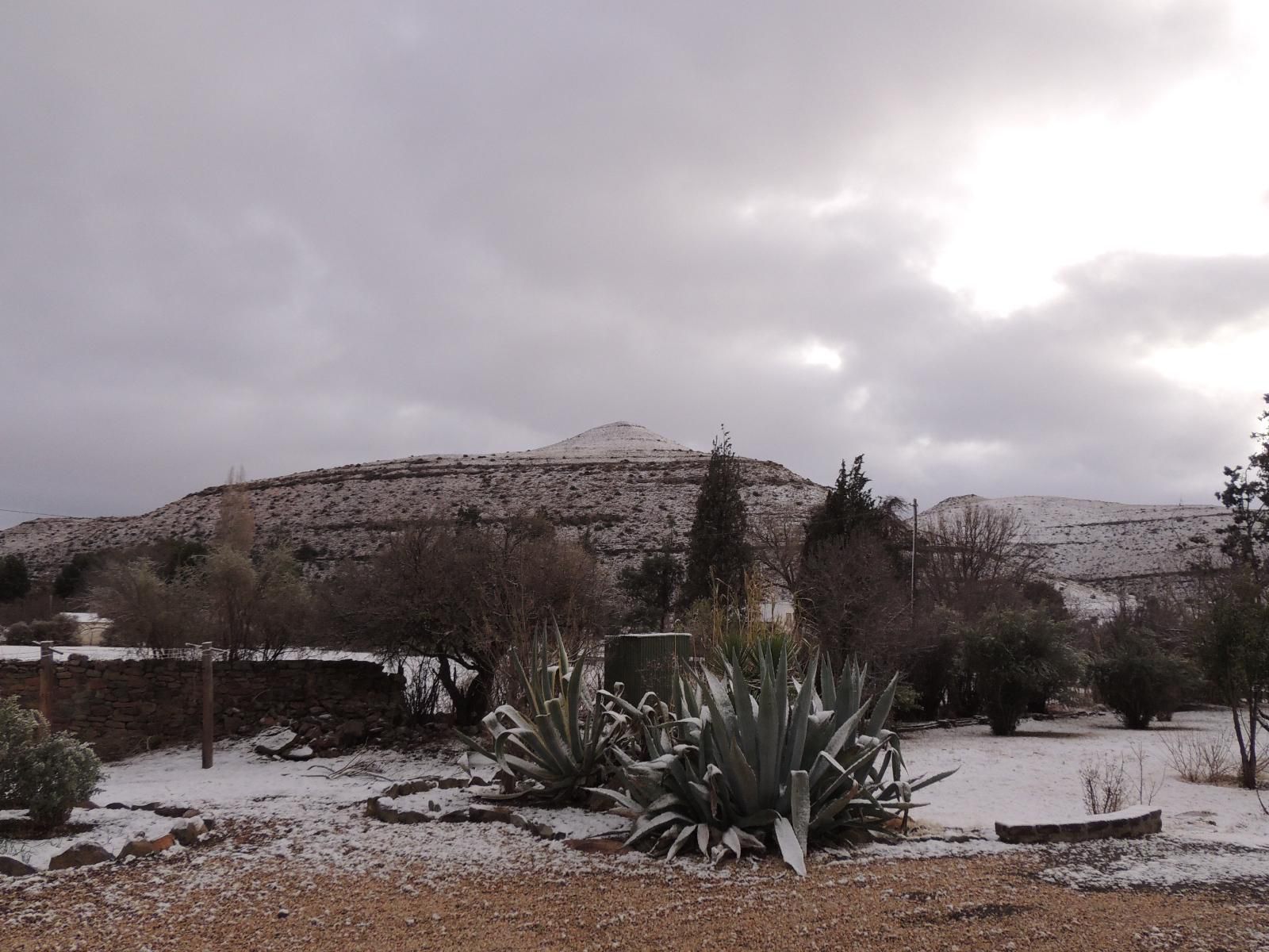 Stone Haven At Nieu Bethesda Nieu Bethesda Eastern Cape South Africa Unsaturated, Cactus, Plant, Nature