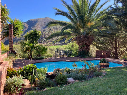 Stonebreaker Country Lodge Oudtshoorn Western Cape South Africa Complementary Colors, Palm Tree, Plant, Nature, Wood, Garden, Swimming Pool
