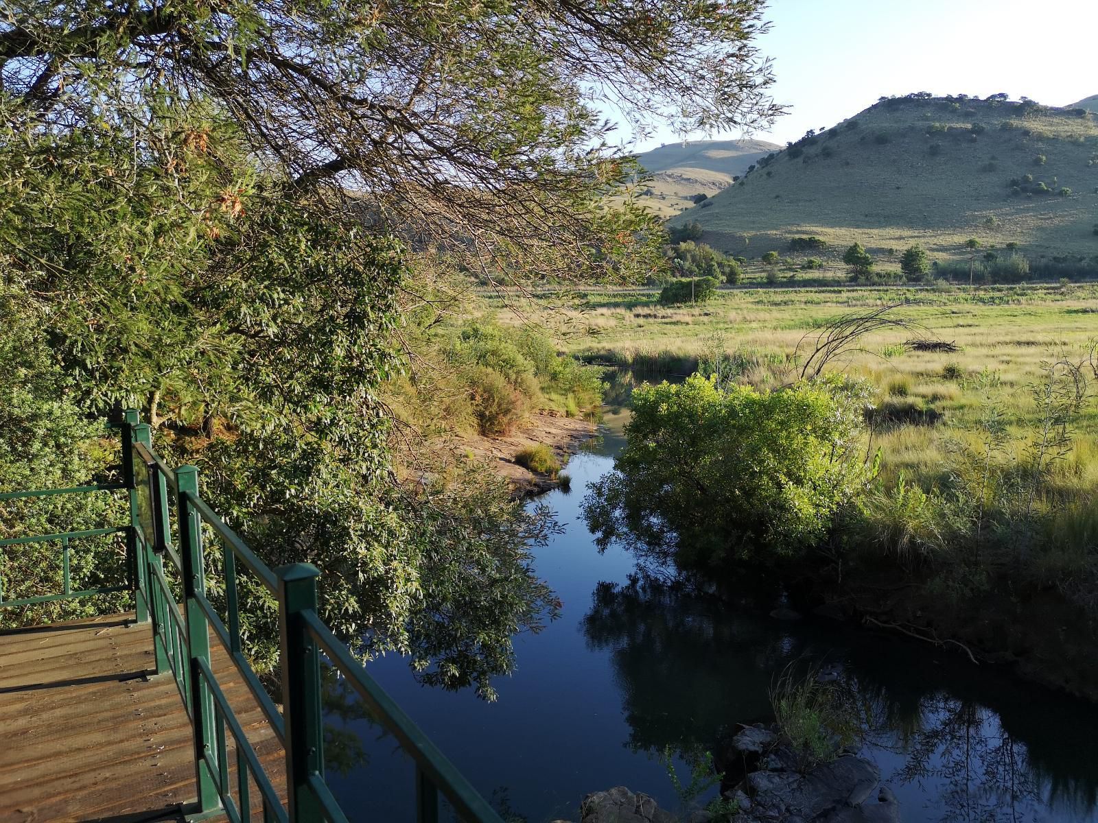 Stonecutters Lodge Dullstroom Mpumalanga South Africa River, Nature, Waters, Tree, Plant, Wood