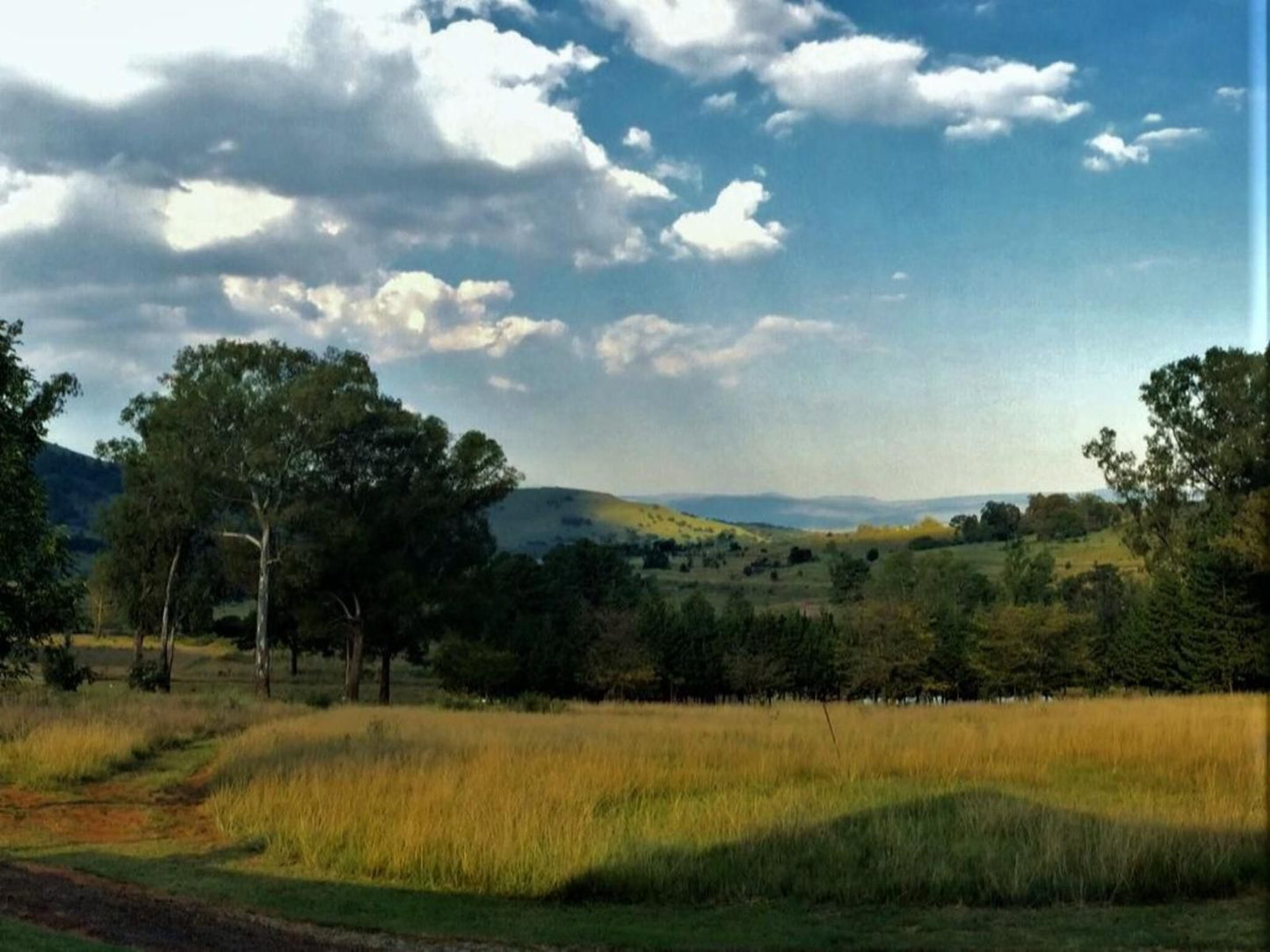 Stonecutters Lodge Dullstroom Mpumalanga South Africa Field, Nature, Agriculture, Tree, Plant, Wood, Lowland