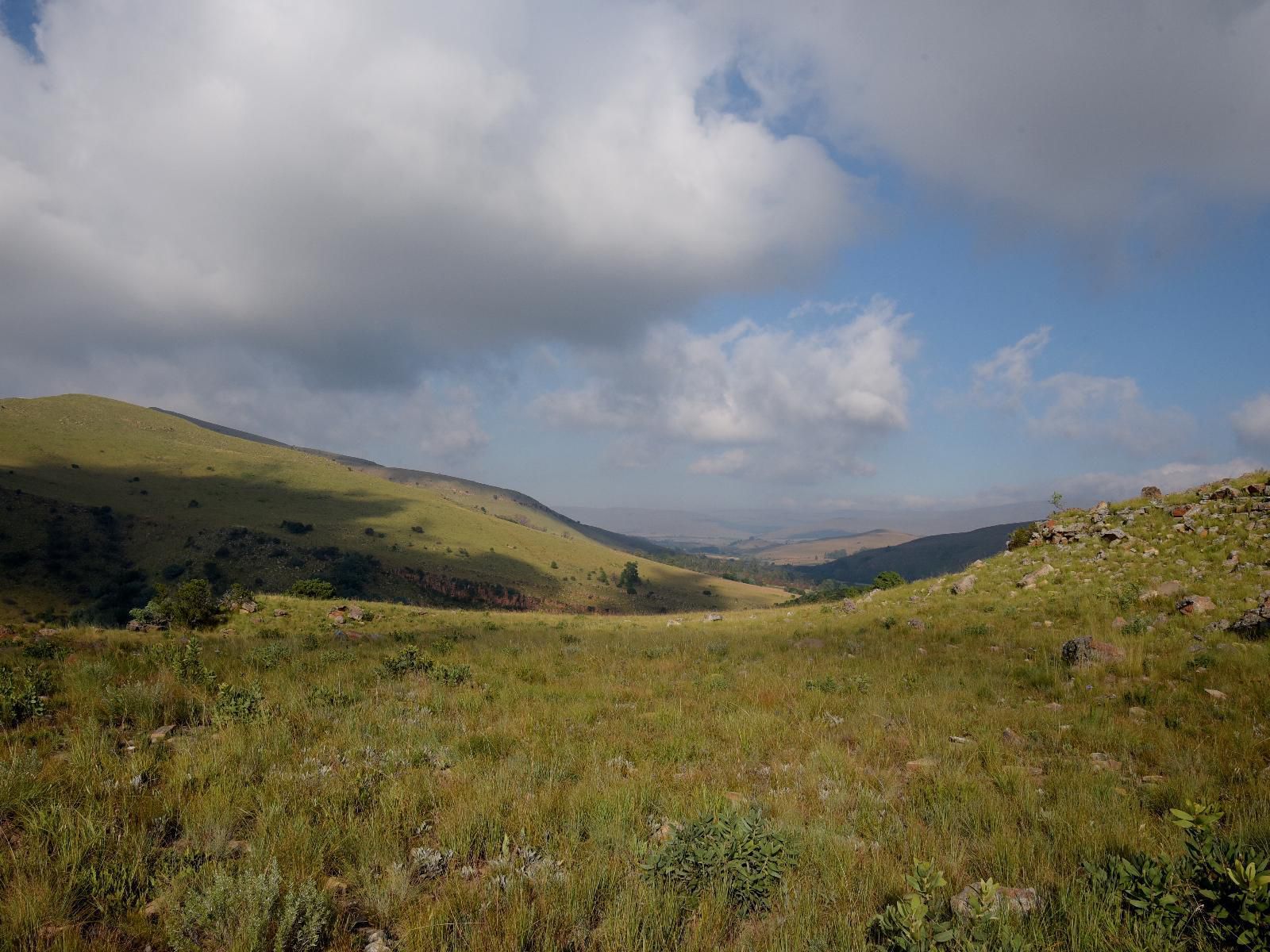 Stonecutters Lodge Dullstroom Mpumalanga South Africa Highland, Nature