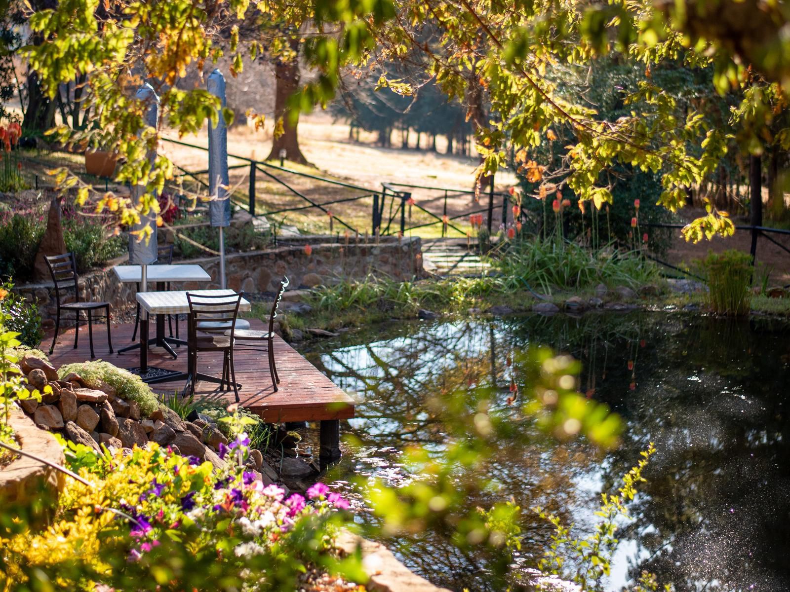 Stonecutters Lodge Dullstroom Mpumalanga South Africa Plant, Nature, Garden