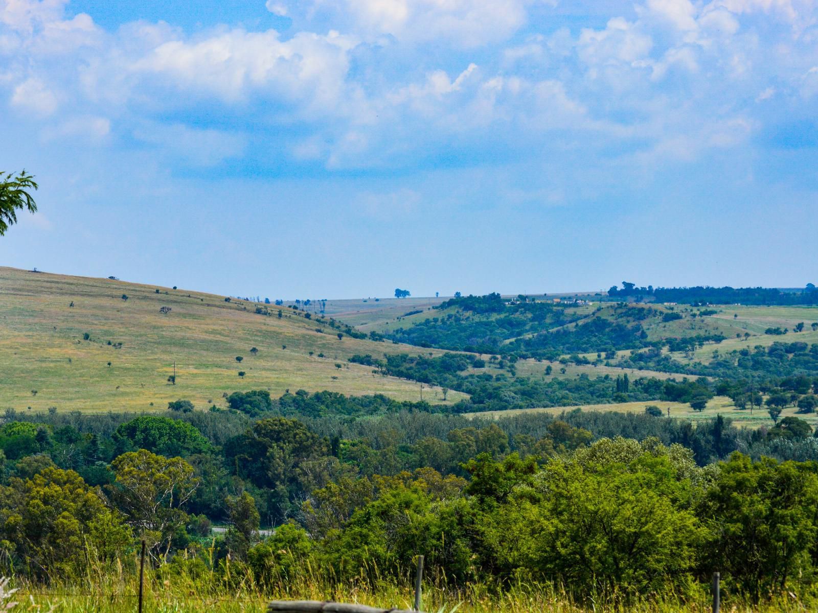 Stone Hill Magaliesburg Gauteng South Africa Complementary Colors, Field, Nature, Agriculture, Lowland