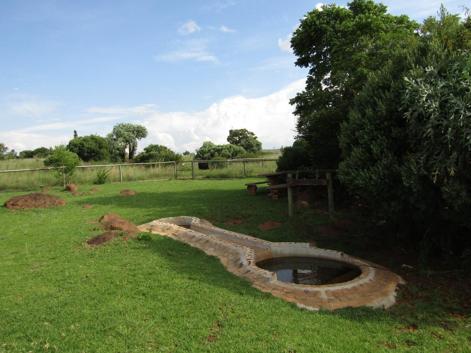 Stone Hill Magaliesburg Gauteng South Africa Complementary Colors, Garden, Nature, Plant