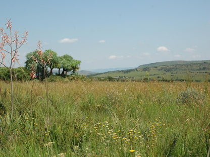 Stone Hill Magaliesburg Gauteng South Africa Complementary Colors, Field, Nature, Agriculture, Meadow, Tree, Plant, Wood, Lowland