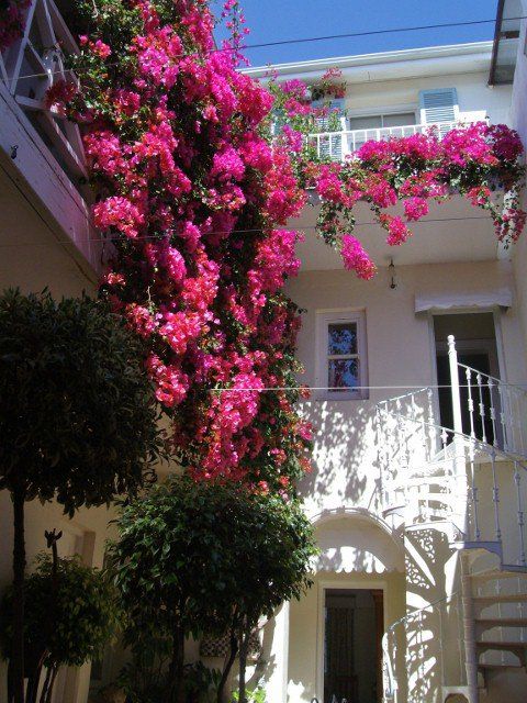 Stonehurst Guest House In Sea Point Capetown Sea Point Cape Town Western Cape South Africa Balcony, Architecture, Blossom, Plant, Nature, House, Building