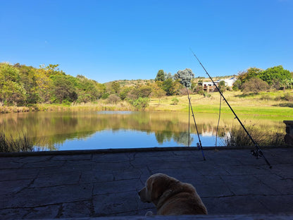 Stone Meadows Country Estate Magaliesburg Gauteng South Africa Complementary Colors, Colorful, Dog, Mammal, Animal, Pet, Lake, Nature, Waters