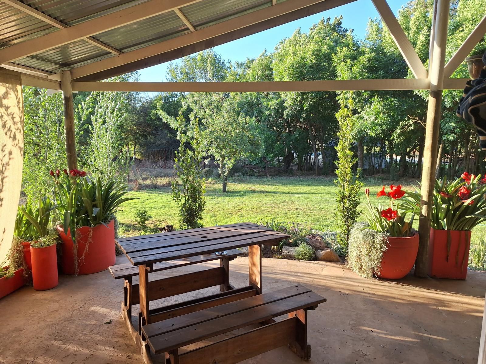 Stoneybrooke Farm Tierpoort Pretoria Tshwane Gauteng South Africa Garden, Nature, Plant