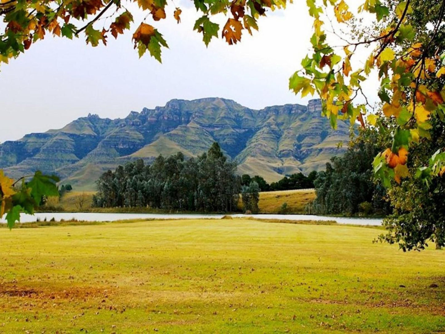 Stoneyhall Farm Accommodation Underberg Kwazulu Natal South Africa Nature