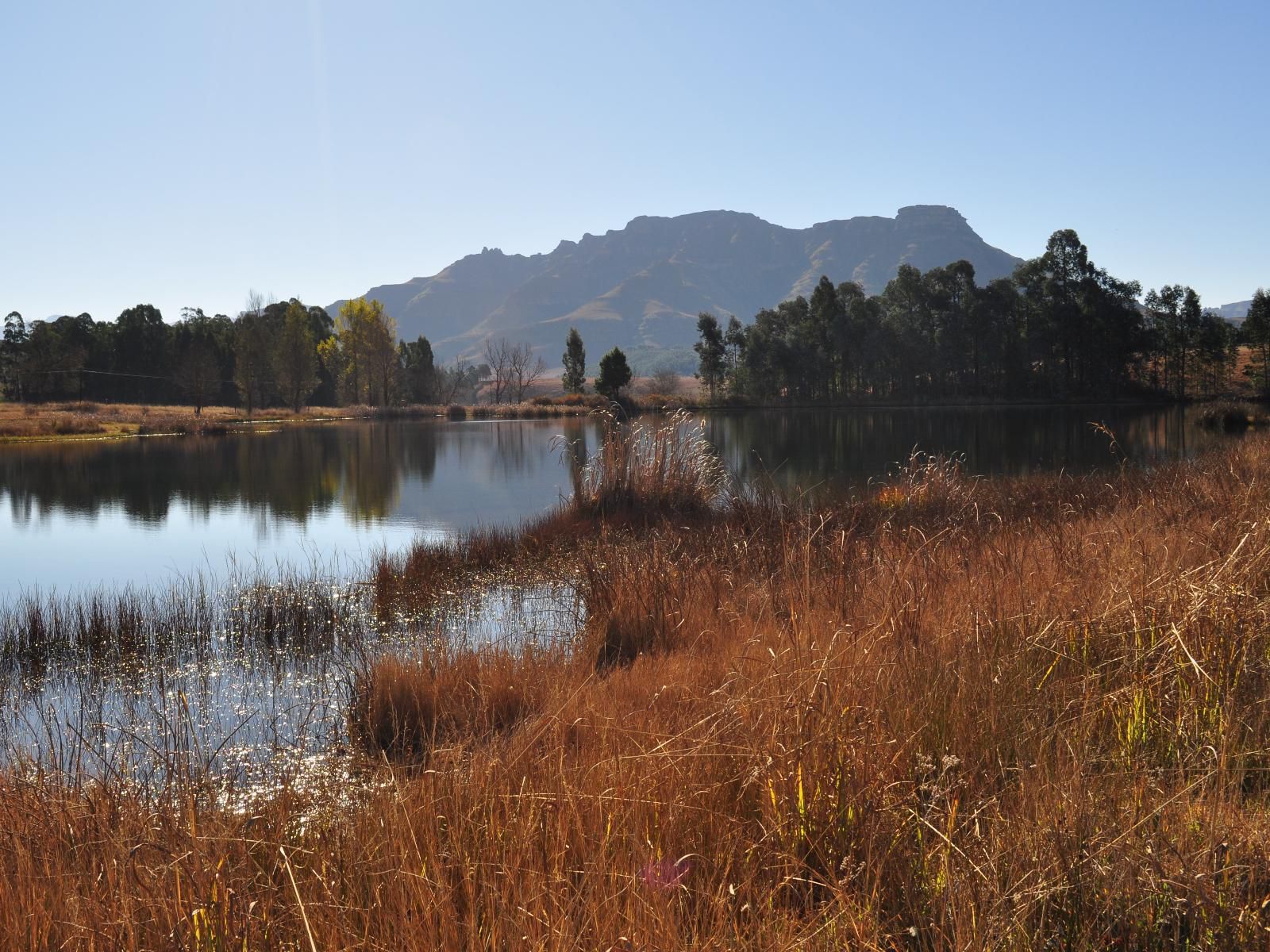 Stoneyhall Farm Accommodation Underberg Kwazulu Natal South Africa Complementary Colors, River, Nature, Waters