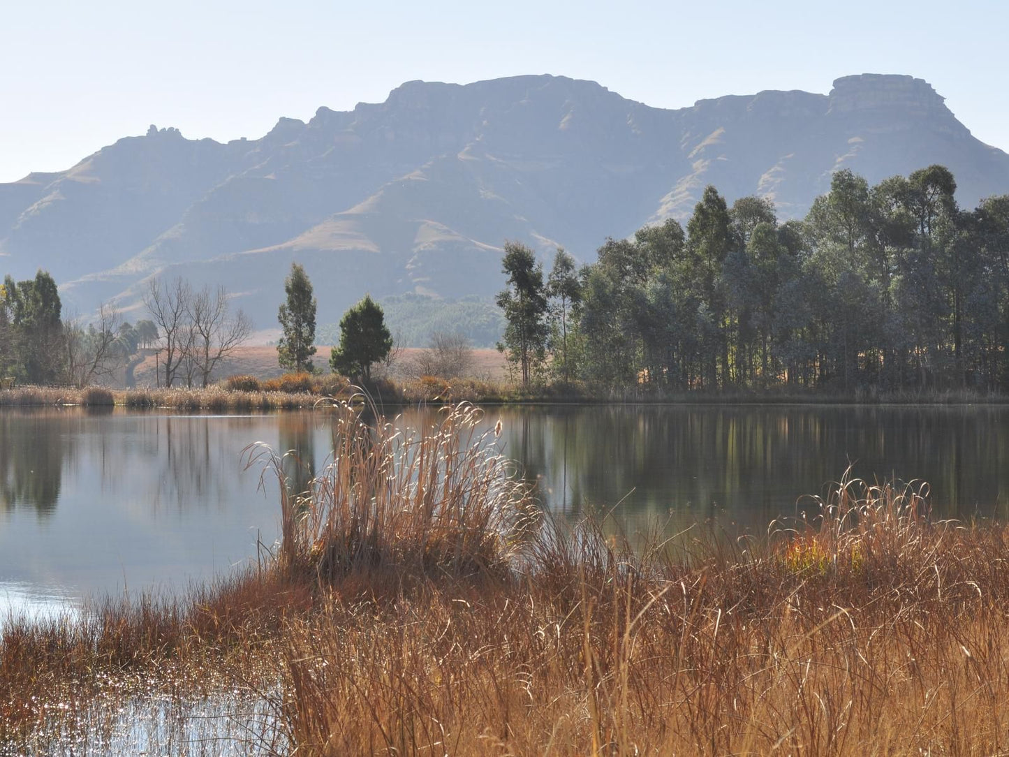 Stoneyhall Farm Accommodation Underberg Kwazulu Natal South Africa Nature