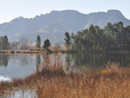 Stoneyhall Farm Accommodation Underberg Kwazulu Natal South Africa Nature