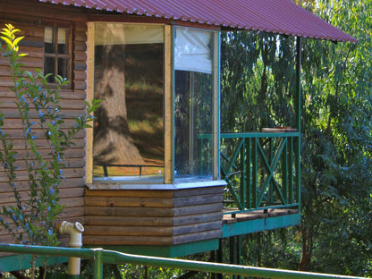 Forest Log Cabins @ Stoneyhall Farm Accommodation