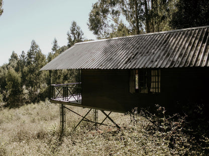 Forest Log Cabins @ Stoneyhall Farm Accommodation