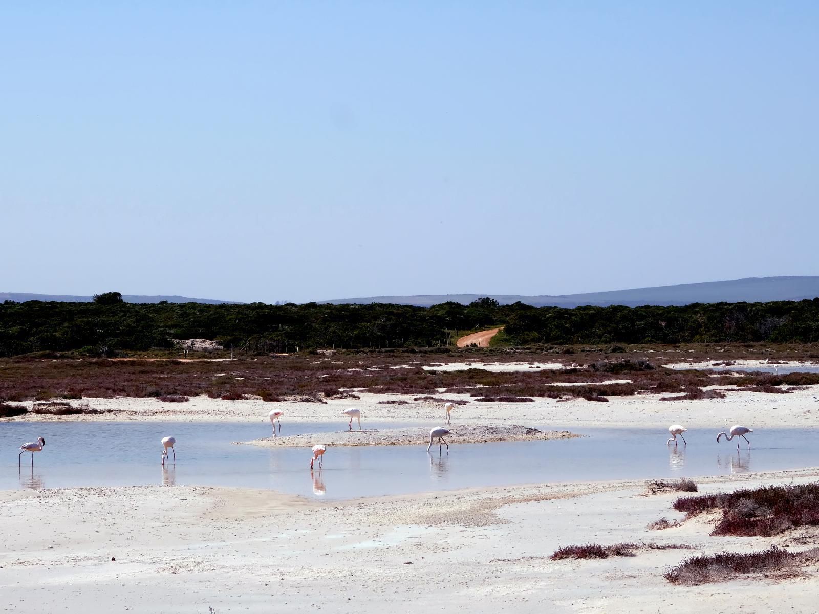 Strandkombuis Yzerfontein Western Cape South Africa Beach, Nature, Sand