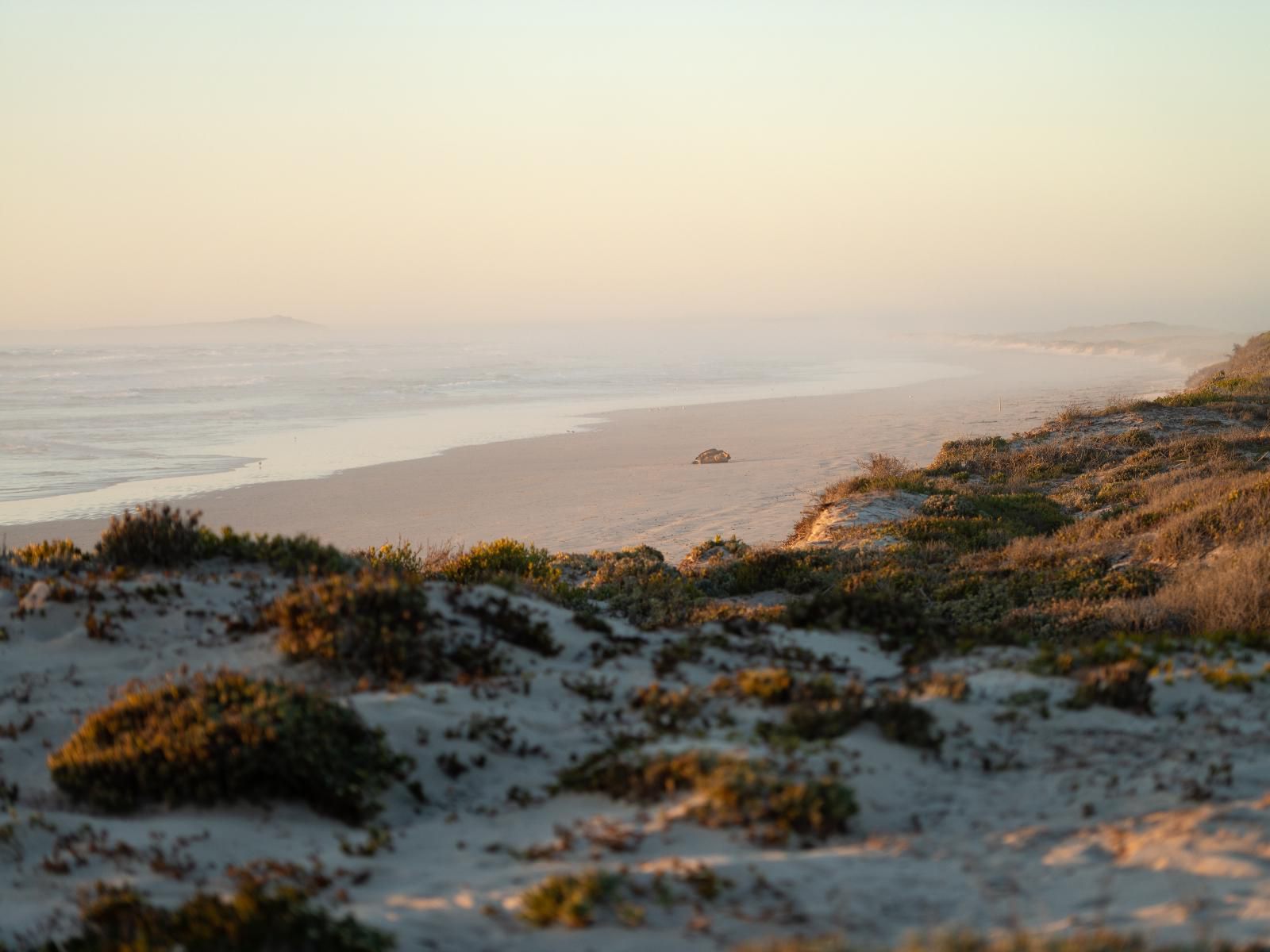 Strandkombuis Yzerfontein Western Cape South Africa Beach, Nature, Sand