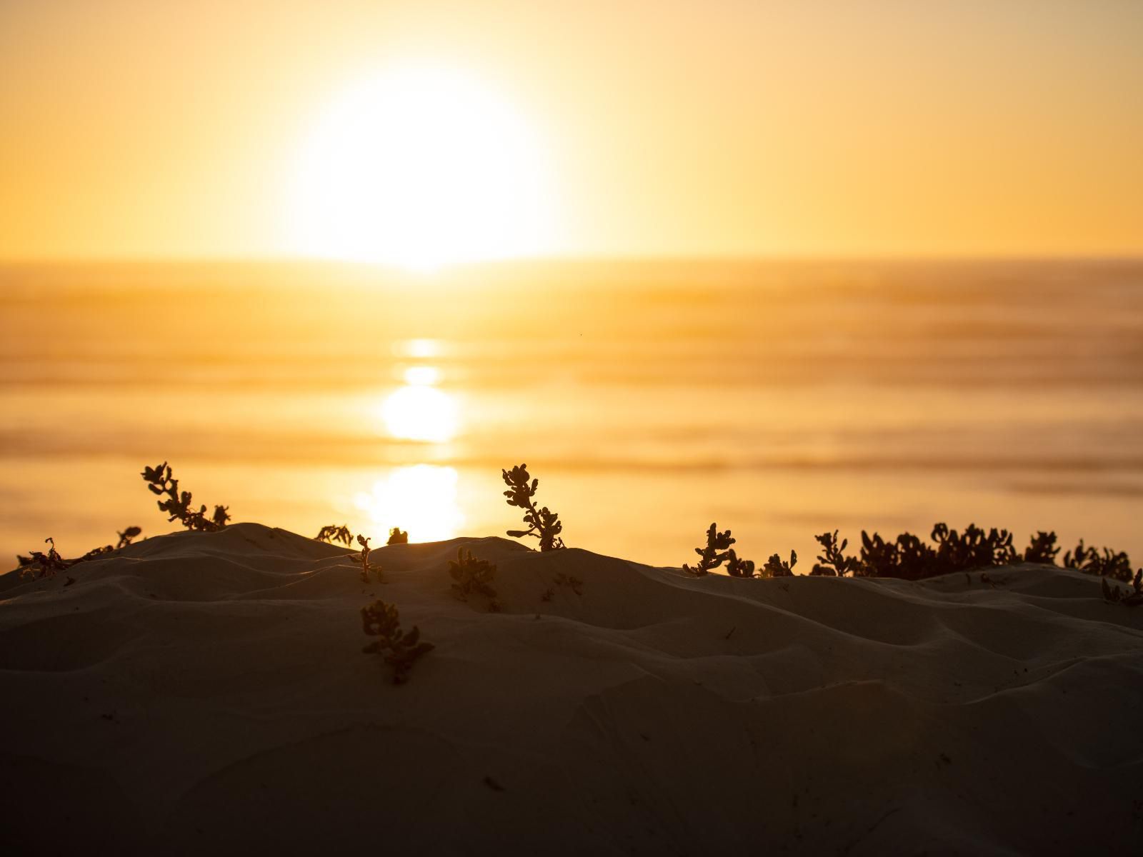 Strandkombuis Yzerfontein Western Cape South Africa Sepia Tones, Beach, Nature, Sand, Sky, Sunset