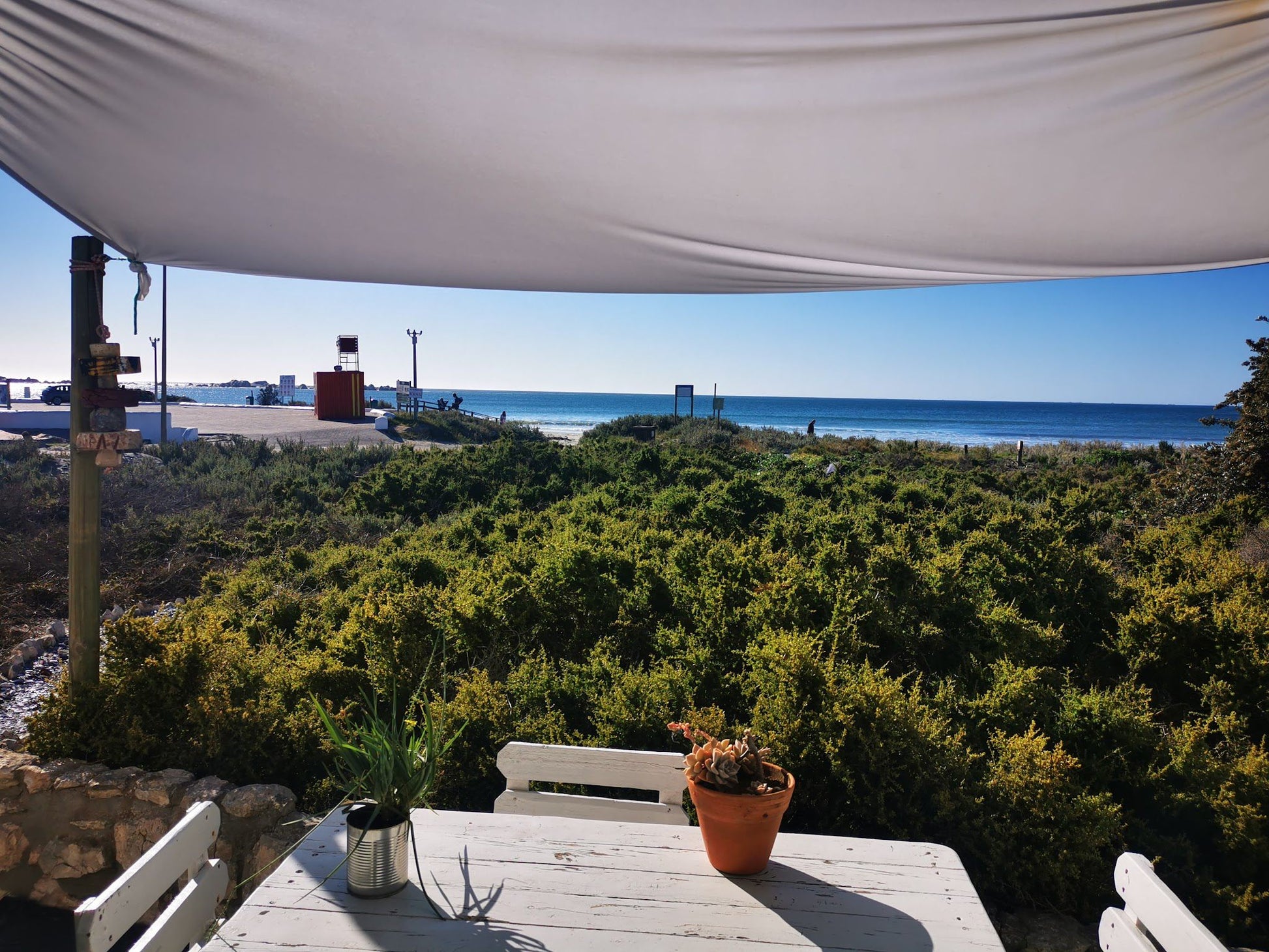 Strandlopertjie Voorstrand Paternoster Western Cape South Africa Beach, Nature, Sand