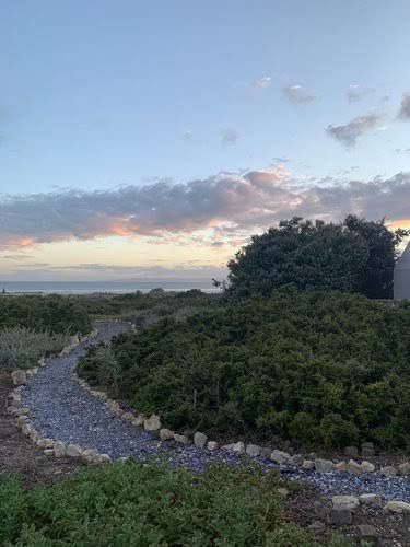 Strandlopertjie Voorstrand Paternoster Western Cape South Africa Tree, Plant, Nature, Wood