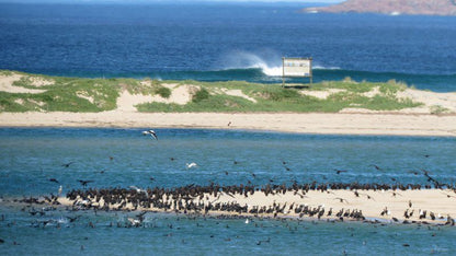 Strandveld Beach House Plett Self Catering Goose Valley Golf Estate Plettenberg Bay Western Cape South Africa Beach, Nature, Sand, Ocean, Waters