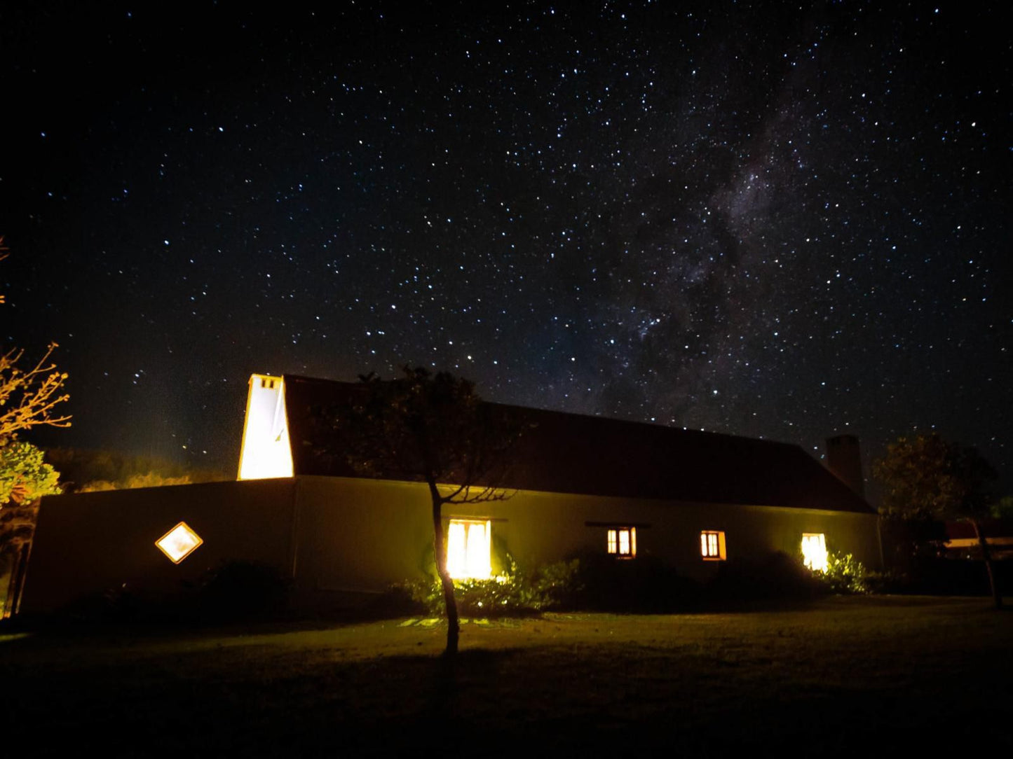 Strandveld Vineyards, Dark, Night Sky, Nature