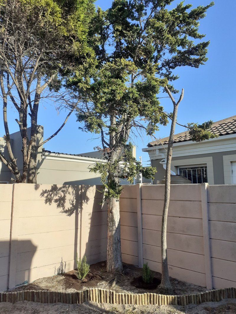 Strawberry Lane Blouberg Sands Blouberg Western Cape South Africa Complementary Colors, House, Building, Architecture, Palm Tree, Plant, Nature, Wood, Window