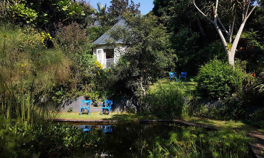 Strelitzia Gardens Kloof Durban Kwazulu Natal South Africa House, Building, Architecture, River, Nature, Waters