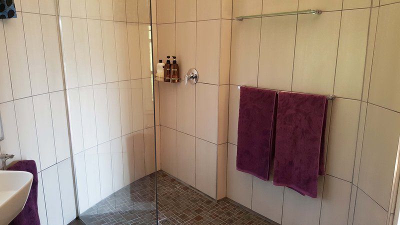 Strelitzia Gardens Kloof Durban Kwazulu Natal South Africa Bathroom