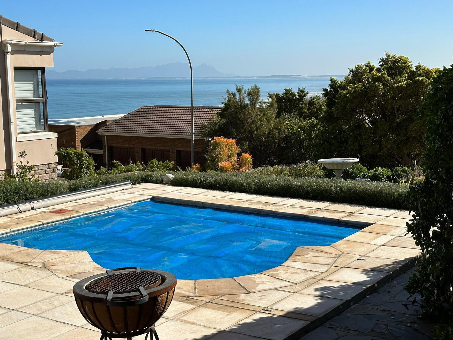 Strelitzia Mountainside Gordons Bay Western Cape South Africa Complementary Colors, Beach, Nature, Sand, Swimming Pool