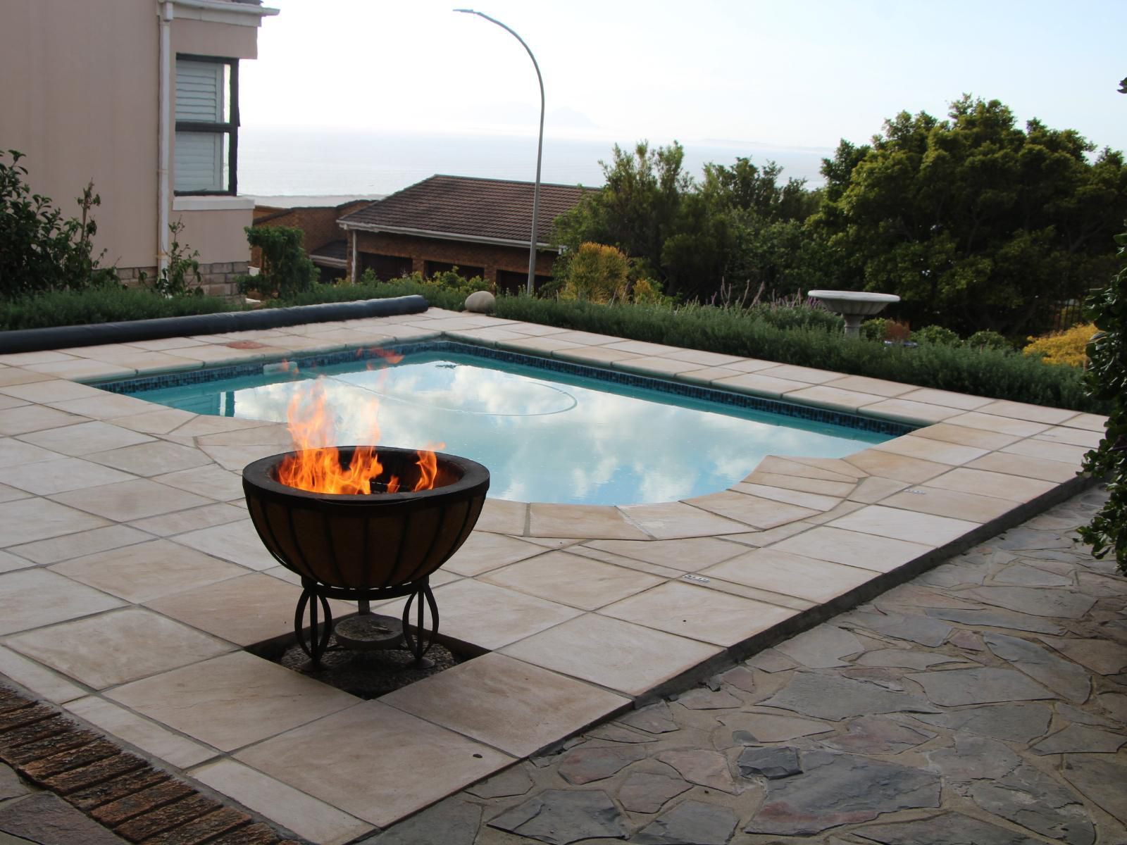 Strelitzia Mountainside Gordons Bay Western Cape South Africa Fire, Nature, Swimming Pool