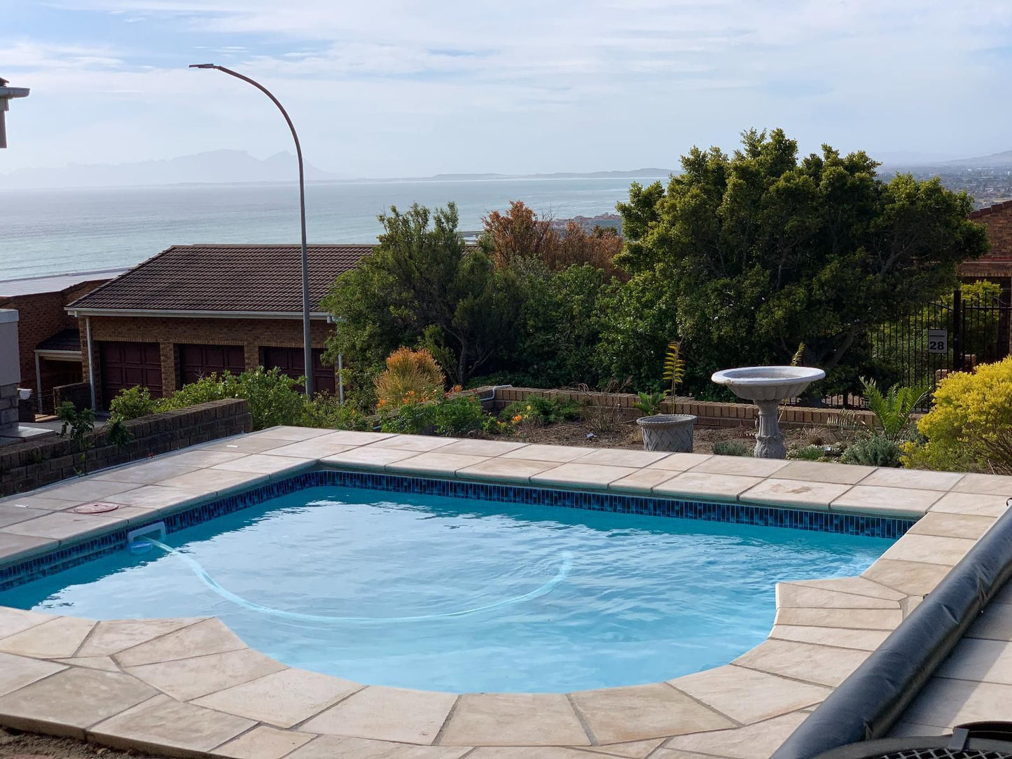 Strelitzia Mountainside Gordons Bay Western Cape South Africa Swimming Pool