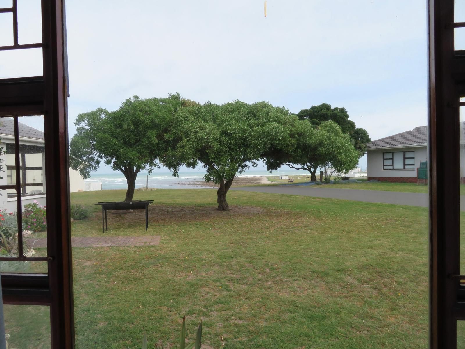 Struisbaai House Rentals, Tree, Plant, Nature, Wood