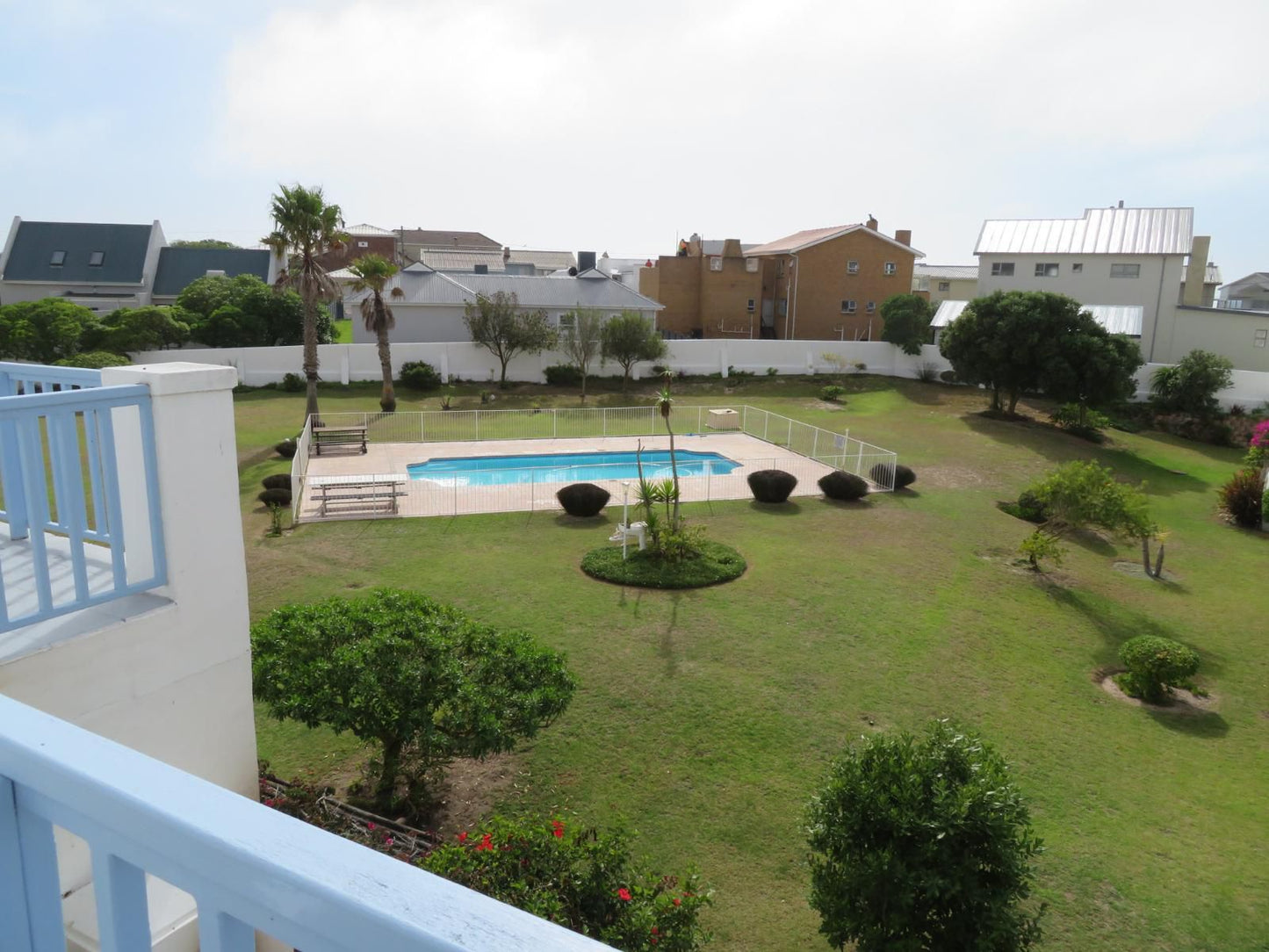 Struisbaai House Rentals, 9 on Main, Palm Tree, Plant, Nature, Wood, Swimming Pool