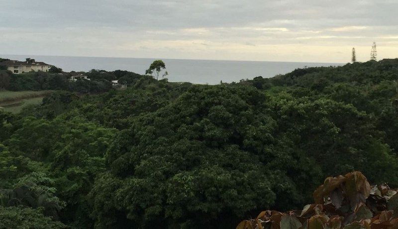 Studio Ocean Marina Beach Southbroom Kwazulu Natal South Africa Cliff, Nature, Forest, Plant, Tree, Wood