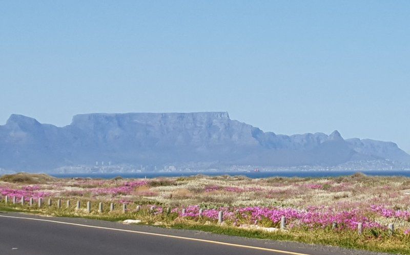 Beach Studio Melkbos Melkbosstrand Cape Town Western Cape South Africa Complementary Colors, Field, Nature, Agriculture, Street