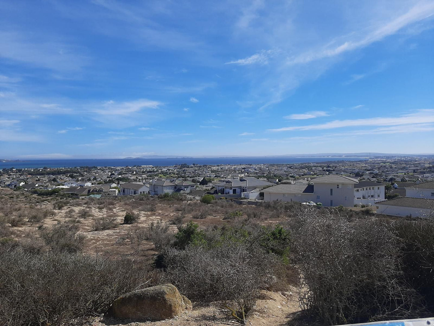 Stukkie See Country Club Langebaan Western Cape South Africa Cactus, Plant, Nature, Text