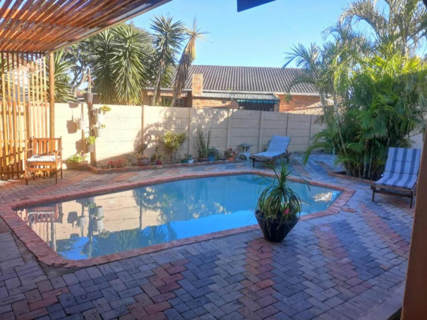 Su Casa Bandb Broadwood Port Elizabeth Eastern Cape South Africa Complementary Colors, Palm Tree, Plant, Nature, Wood, Garden, Swimming Pool