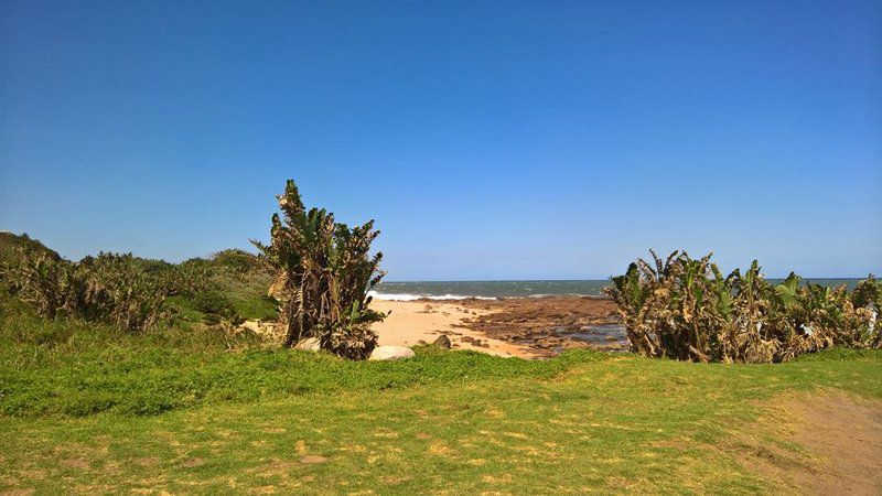 Sue Casa 3 Manaba Beach Margate Kwazulu Natal South Africa Complementary Colors, Colorful, Beach, Nature, Sand, Palm Tree, Plant, Wood