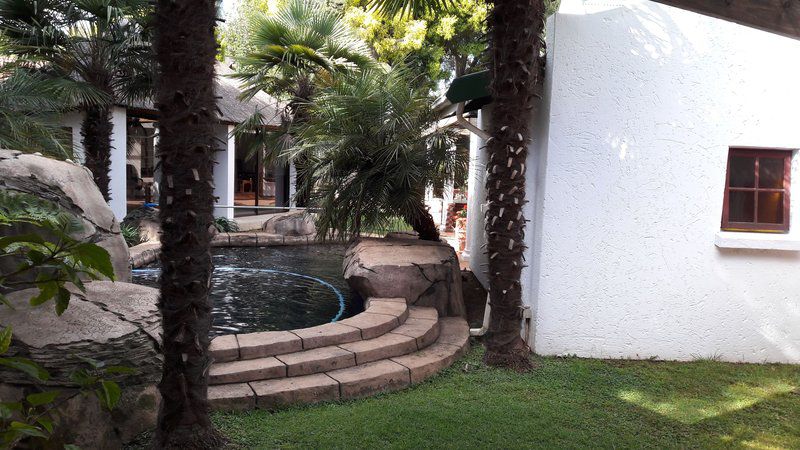 Sugar Rose Guesthouse Glen Marais Johannesburg Gauteng South Africa Palm Tree, Plant, Nature, Wood, Garden, Living Room, Swimming Pool