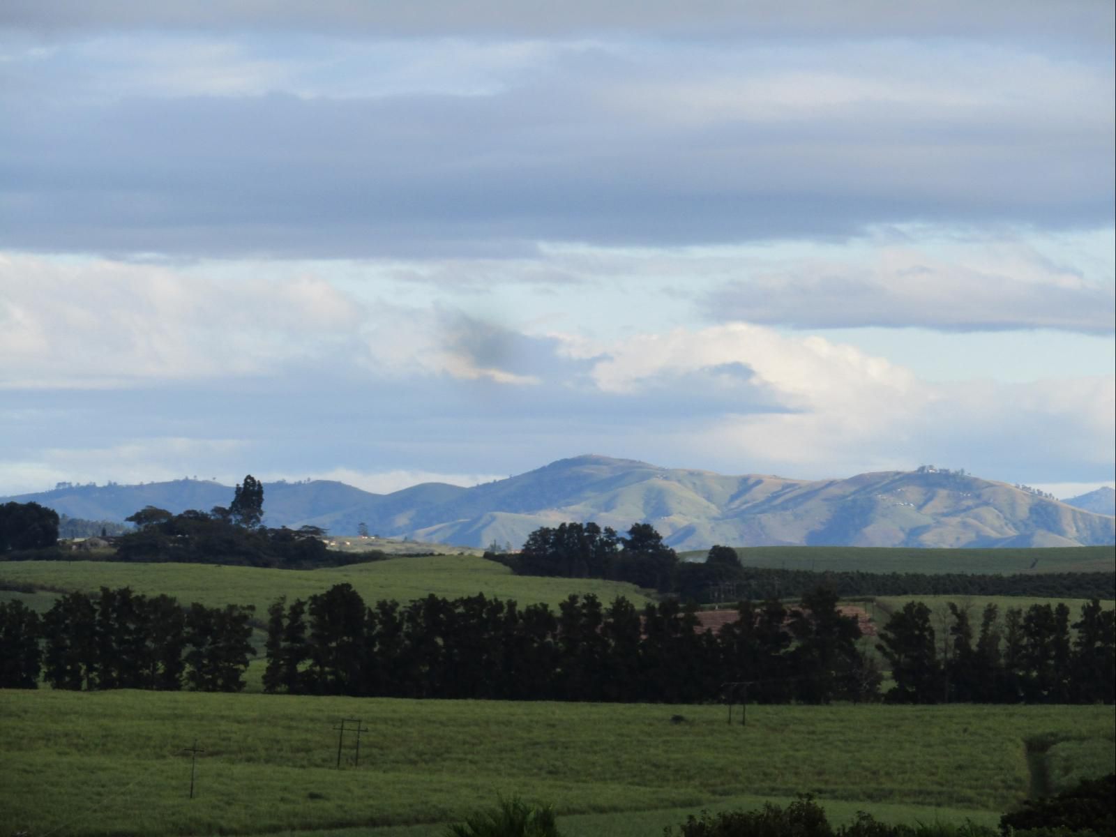 Sugar Hill Manor Eshowe Kwazulu Natal South Africa Nature