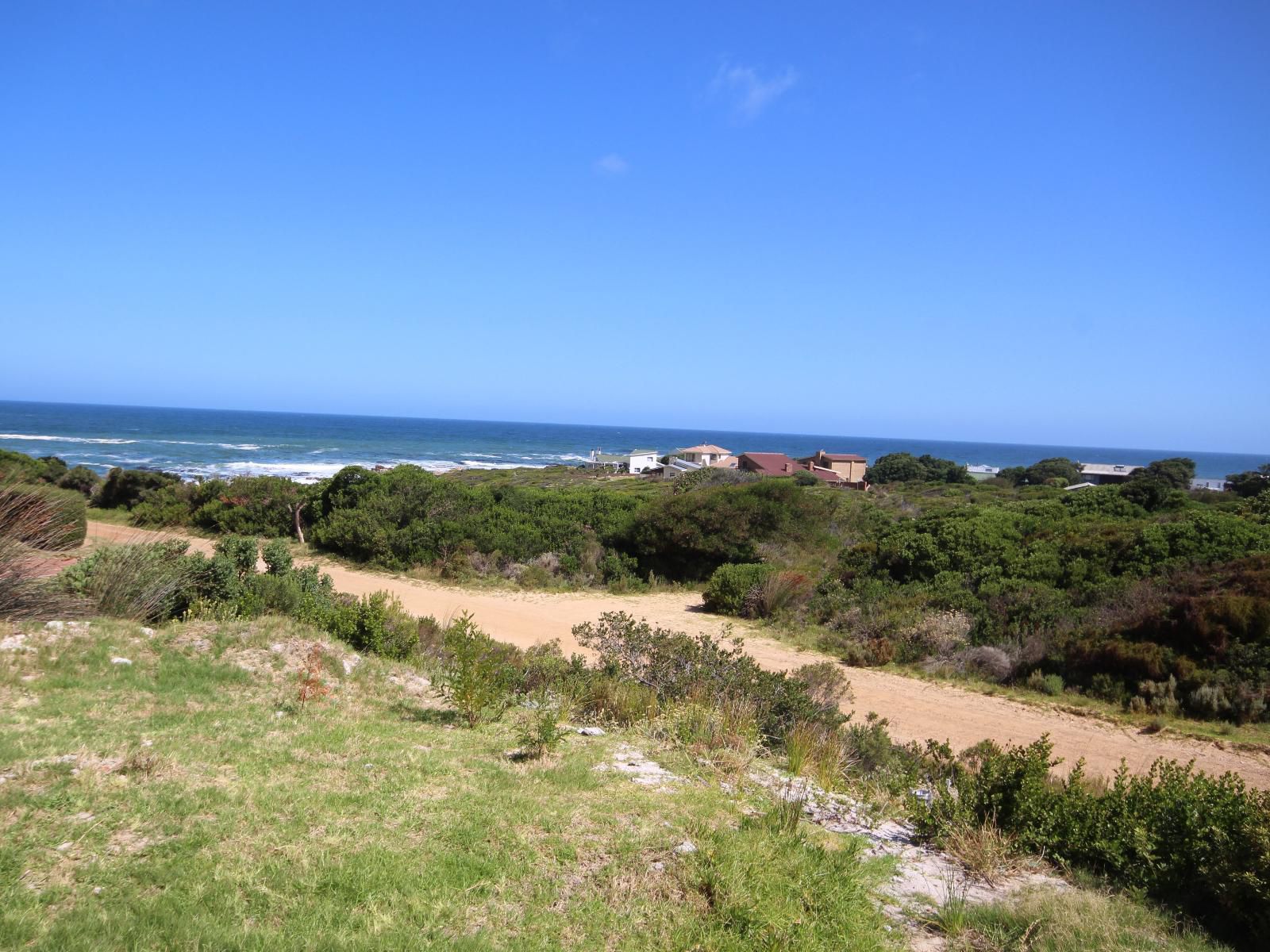 Suikerbekkie Bettys Bay Western Cape South Africa Complementary Colors, Colorful, Beach, Nature, Sand