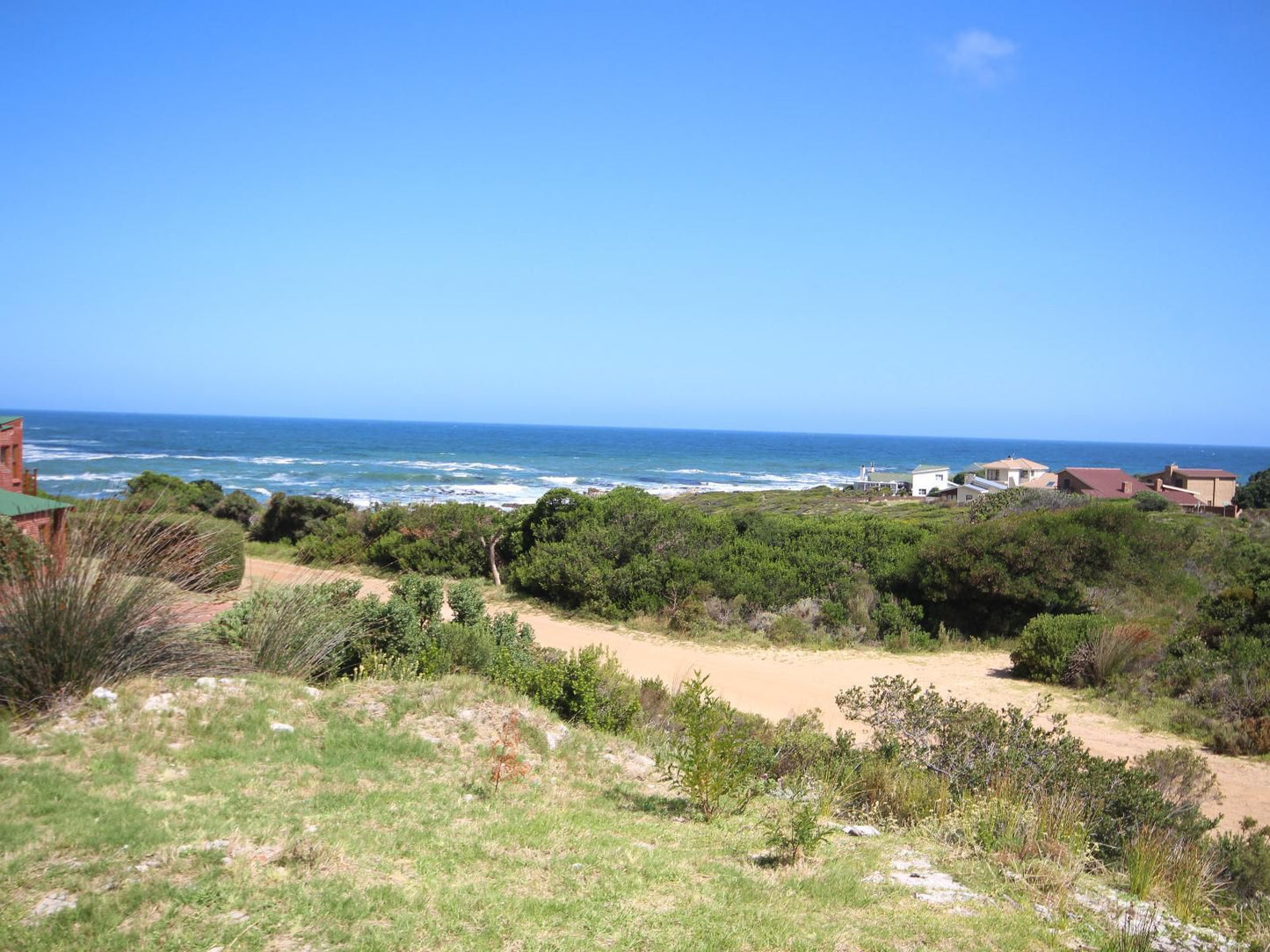 Suikerbekkie Bettys Bay Western Cape South Africa Complementary Colors, Colorful, Beach, Nature, Sand