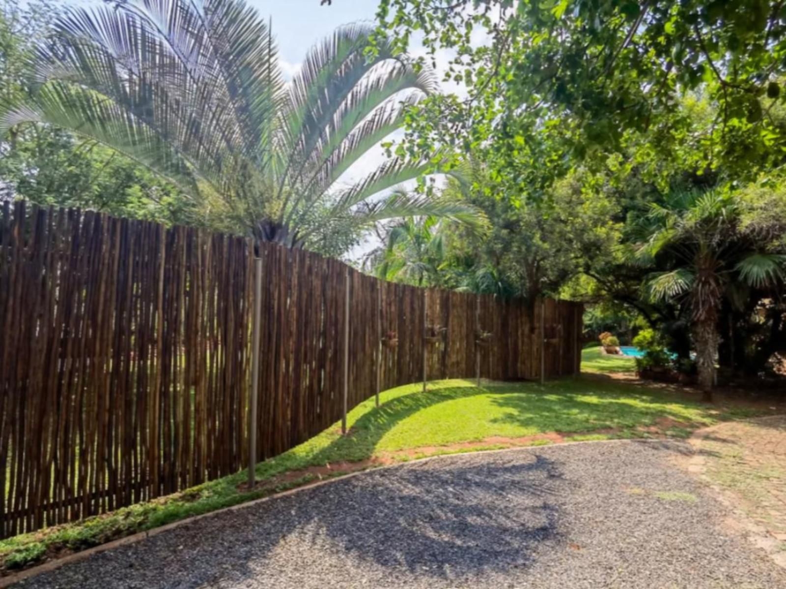 Suikerbosrant Sleep And Go, Palm Tree, Plant, Nature, Wood, Garden