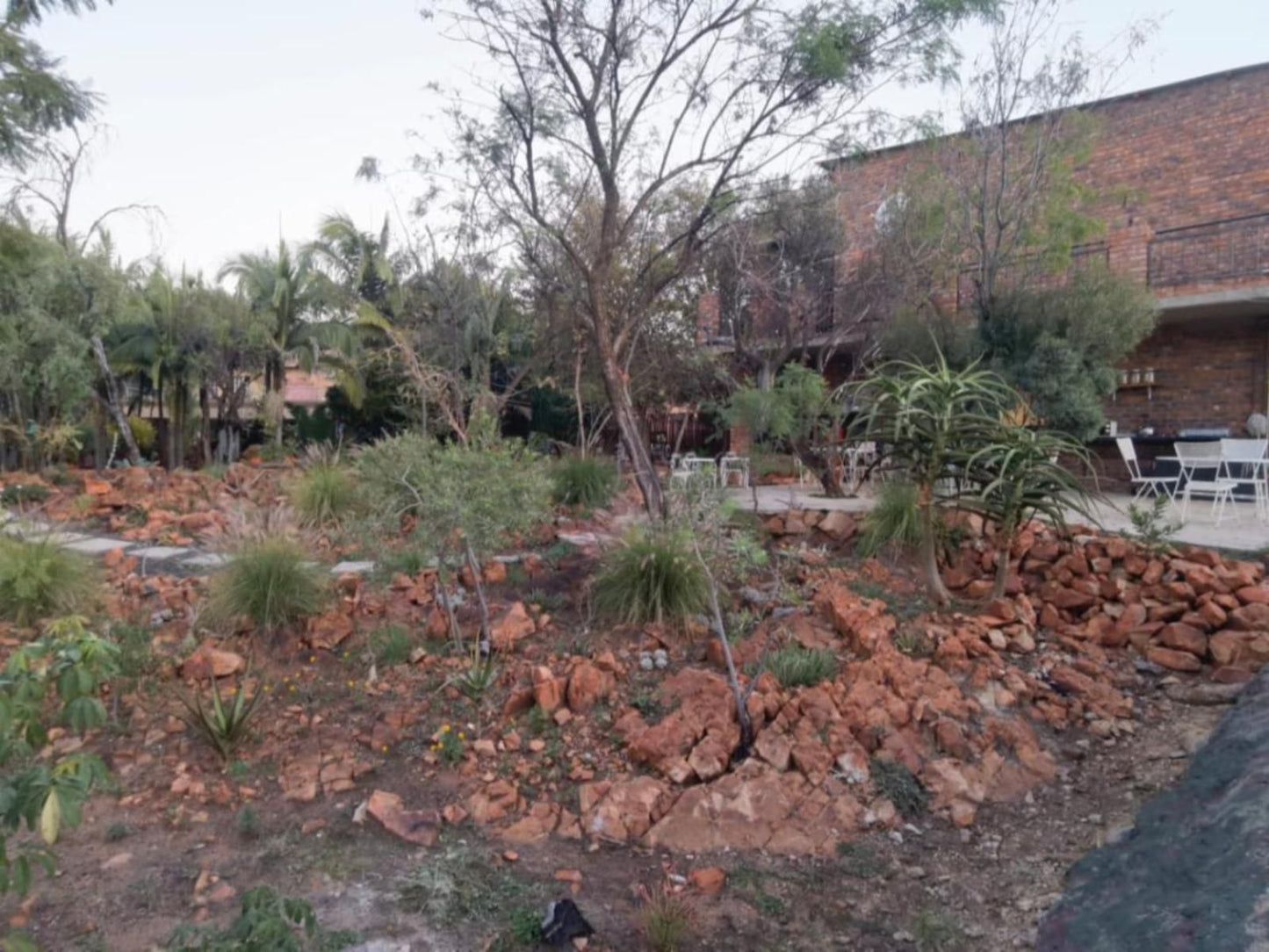 Suikerbosrant Sleep And Go, Cactus, Plant, Nature, Palm Tree, Wood, Garden