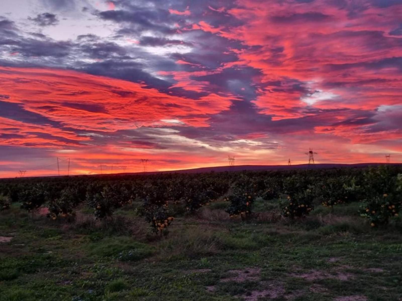 Suma'S Rest, Field, Nature, Agriculture, Sky, Lowland, Sunset